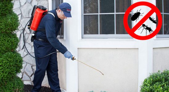 Akçaabat Fare İlaçlama böcek ilaçlama ve haşere kontrolü — ilaclama-tr.com